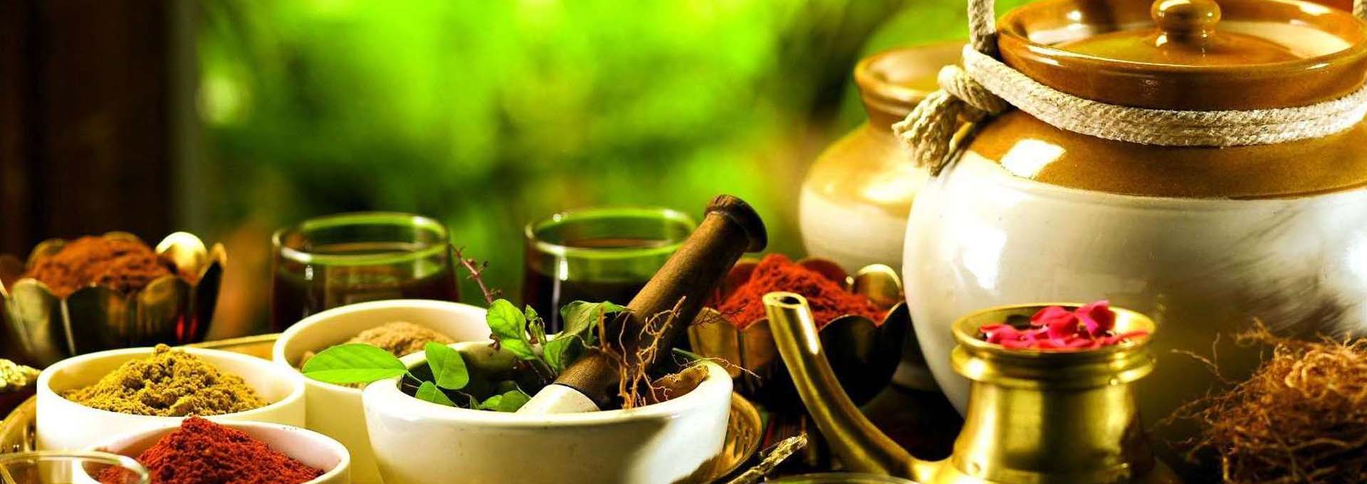 Kerala Ayurvedic Tour