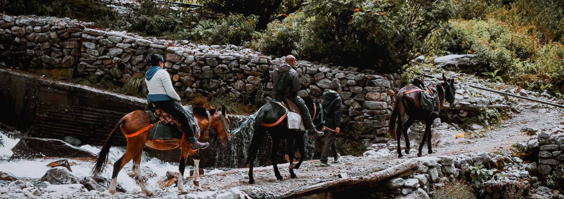 Valley of Flowers and Hemkund Sahib Tour