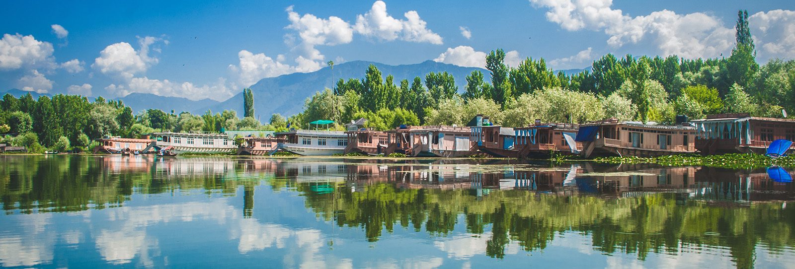 kashmir