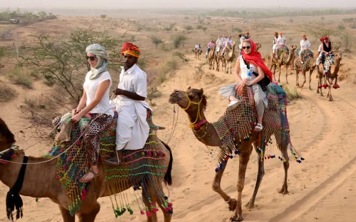 Camel Safari Tour