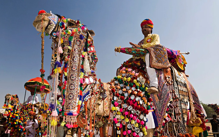 Pushkar Fair Special Tour Package