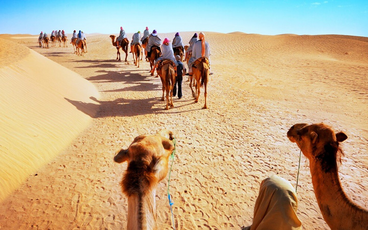 Rural Rajasthan Tour by horse and jeep Safaris