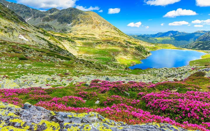 Valley of Flowers and Hemkund Sahib Tour